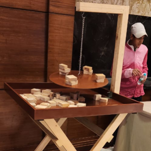 Balancing game wooden game on rent (Delhi, Gurugram, Udaipur)