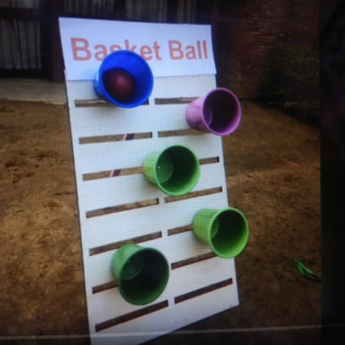 Mini basket on rent (Delhi, Gurugram, Udaipur)