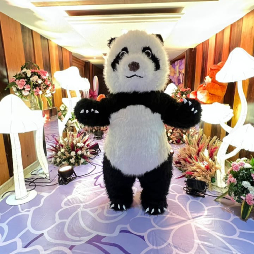 Panda dress on rent (Delhi, Gurugram, Udaipur)