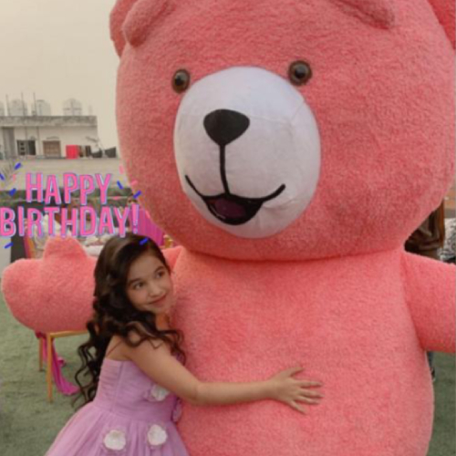 Pink teddy mascot on rent (Delhi, Gurugram, Udaipur)