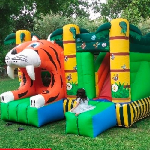 Tiger bouncy on rent (Delhi, Gurugram, Udaipur)